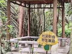 -滴水岩森林公园