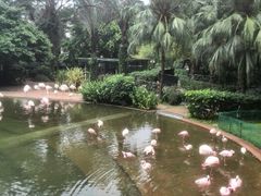 -九龙公园