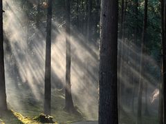 -玉苍山国家森林公园