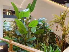 -劳顶笨Rotty Bun(青岛城阳店)