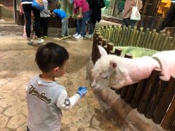 -宝燕乐园(闵行旗舰店)