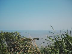 -金海湾海鲜排档(朱家尖店)