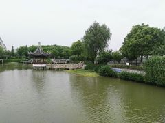 -宏泰园蔬果专业合作社