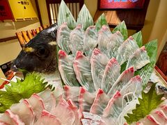 -炉胜·炉端烧·居酒屋