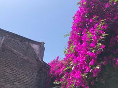 -金谷域澳洲庄园