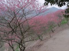 -溪口-滕头旅游景区