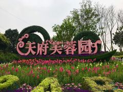 -天府芙蓉园