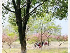 -白塘生态植物园