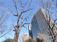 -顺城公园