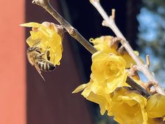 -国家植物园