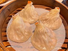 -点都德·毕德寮