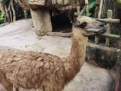 -长鹿旅游休博园