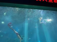 -福州罗源湾海洋世界旅游区