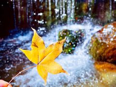 -玉渡山自然风景区