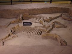 -洛阳周王城天子驾六博物馆