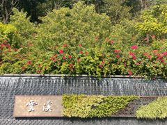 -云溪植物园