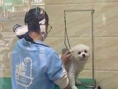 -安安宠医·安宠宠物医院