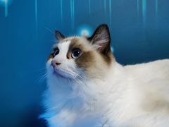 -零纪元VR体验馆·桌游(黄浦店)