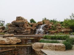 -武清南湖绿博园