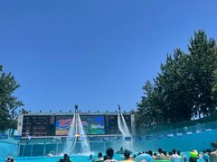 -欢乐水魔方水世界