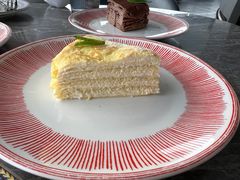 -Hi City·城市之巅