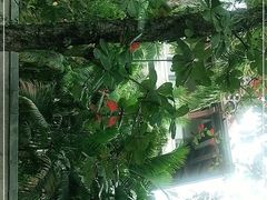 -三亚海棠湾万丽度假酒店