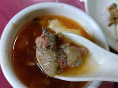 -罗源湾8号渔排