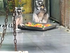 -西安秦岭野生动物园