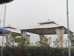 -真爱中国餐馆·年华店(朱雀大街店)
