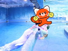 -多彩贵州城极地海洋世界