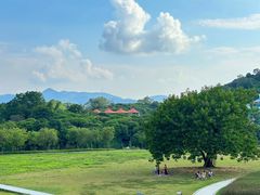 -风云岭森林公园