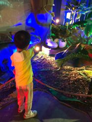 点击看大图 -恐龙探索乐园(磁器口店)