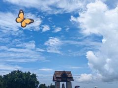 -亚龙湾热带天堂森林公园