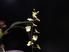 -北京植物园-展览温室