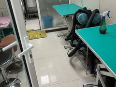 -北京观赏动物医院·24小时大型综合·猫专科·异宠专科