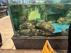 -聚福宝合苑食府(南头镇店)