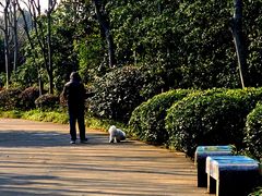 -长广溪湿地公园