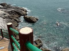 -广东惠东海龟国家级自然保护区