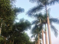 -西涌国际滨海旅游区