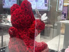 -ROSEONLY诺誓(国际广场购物中心店)