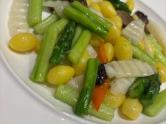 -春茗熙