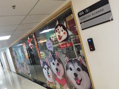 -Husky Go! 哈士奇体验馆·宠物咖啡厅狗咖