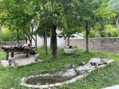 -卧龙中华大熊猫苑神树坪基地