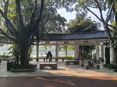 -南宁南湖公园