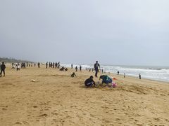 -东海岛旅游度假区
