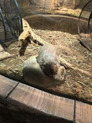 -Zoolung Zoolung动物主题公园(海信广场店)