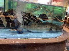 -阿伟海鲜楼·福建菜(延寿店)
