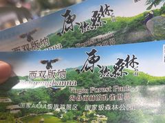 -西双版纳原始森林公园
