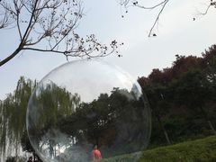 -西安青龙寺遗址景区