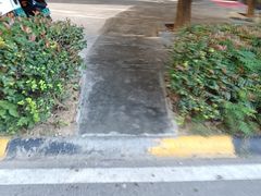 -巢爷老味(东方红店)